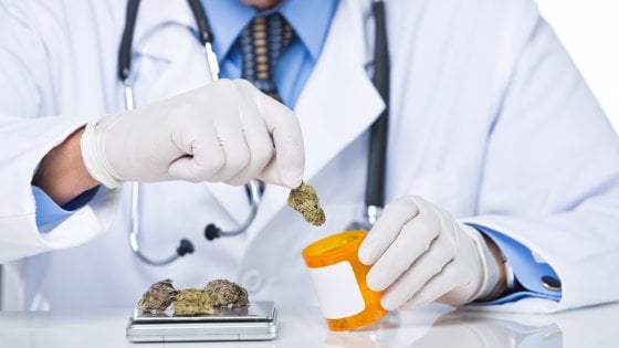 cannabis e terapia oncologica
